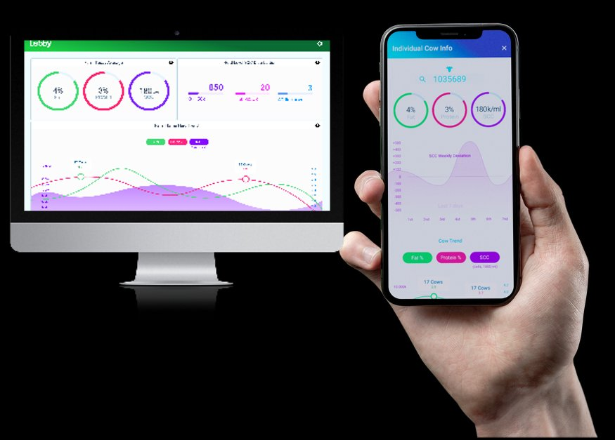 MilKey platform dashboard showing real-time herd data